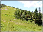 foto Panorama dal Monte Verena